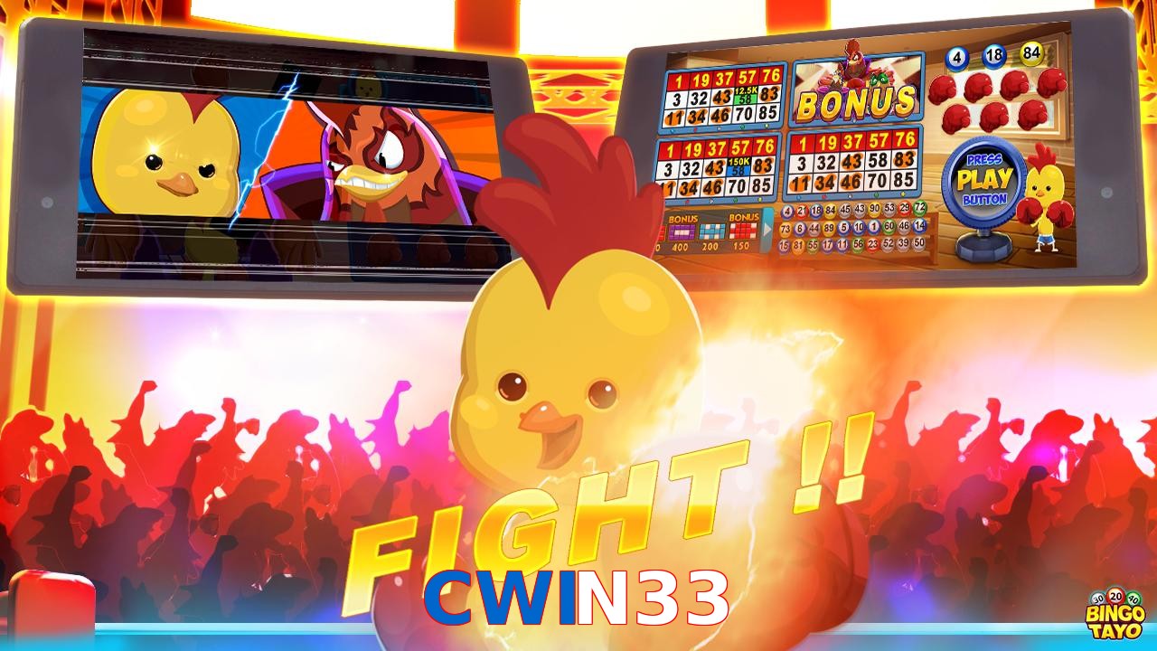 CWIN33