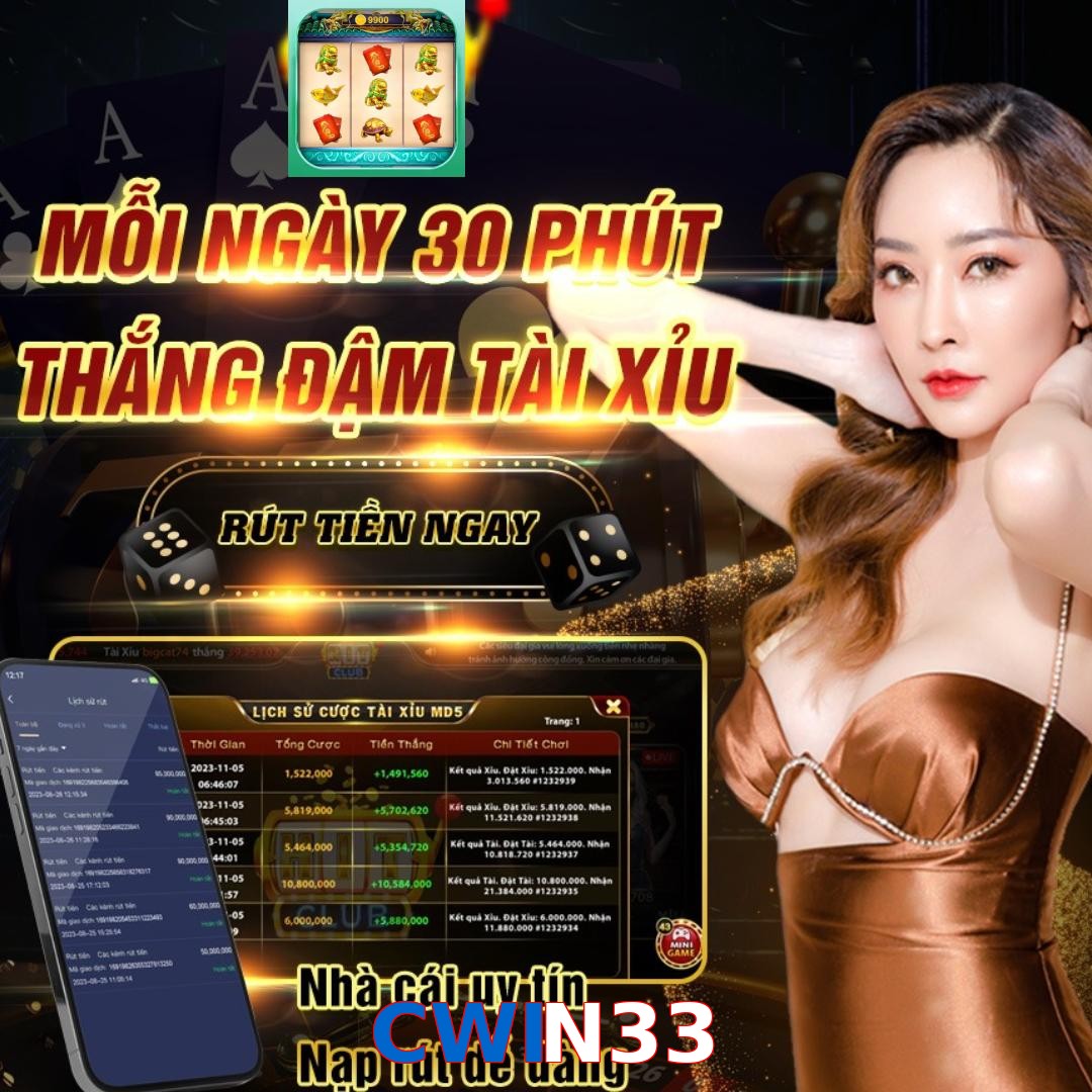 CWIN33