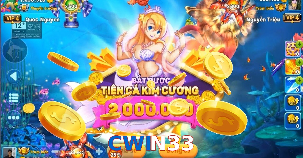 CWIN33