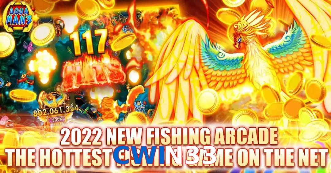 CWIN33